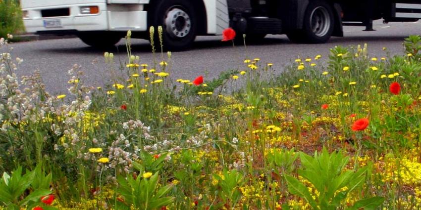 vrachtwagen-uitstoot-co2-bloem