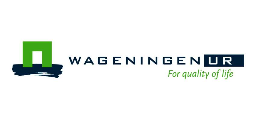 University snelst stijgende Nederlandse universiteit op internationale ranglijst