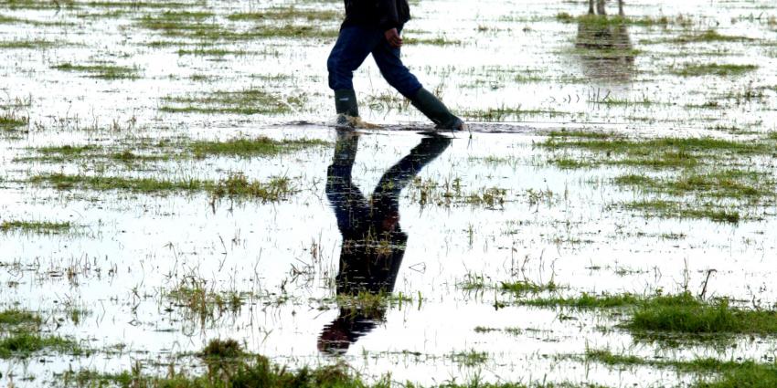 Waterschap test waterbergingslocatie Hooge Boezem in Haastrecht