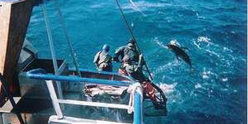 Foto van illegale visserij | WNF