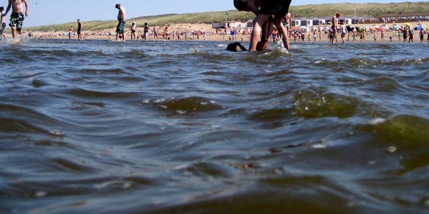 Poepbacterie duikt op in zeewater bij Hoek van Holland