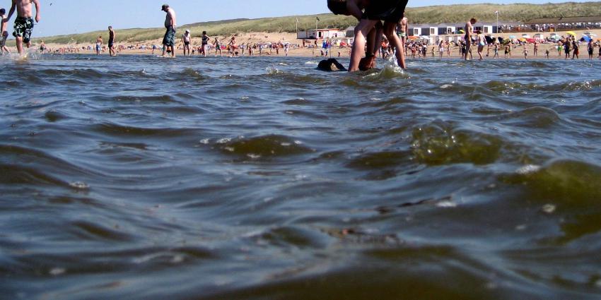Poepbacterie duikt op in zeewater bij Hoek van Holland