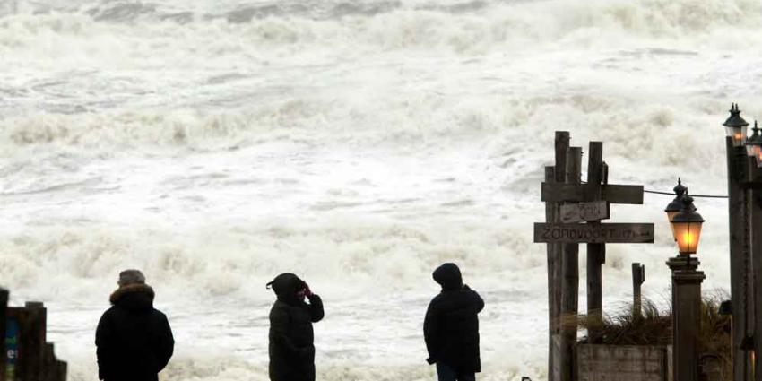 Storm en slijmalg zorgen voor hagelwitte stranden 