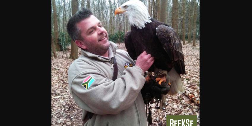 Zeearend 'Lady Maya' teruggekeerd op haar 'nest'