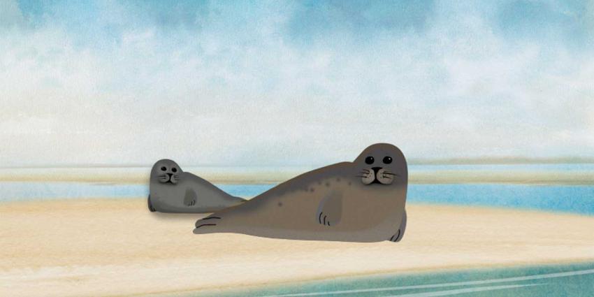 'Maak van een gezonde pup geen wees'