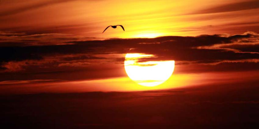 Volgende week opnieuw zomers