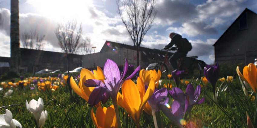 Komst van de lente verloopt zeer traag 