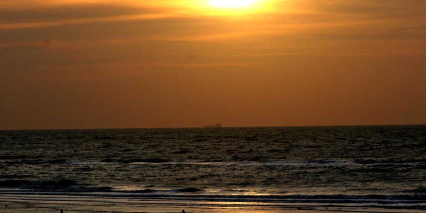 Hond plast op kleding zwemmer, baasje slaat na opmerking zwemmer in elkaar