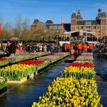 tulpendag-museumplein