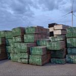 fout-hout-hardhout-NVWA
