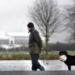 arena-Ajax-hond-voetbal