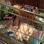 boodschappenkar-supermarkt-levensmiddelen
