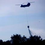 chinook-heli-blus-bos