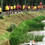 Meeste Friese senioren bewegen voldoende