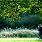 Groen goed voor de geest