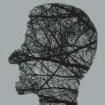 hoofd-takken-bomen-hersenen
