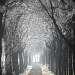 Het Groninger Landschap verwerft 105 ha in het Zuidlaardermeergebied
