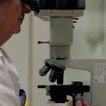 Foto van microscoop onderzoek | Archief EHF