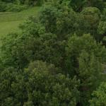 Foodfestival Lepeltje Lepeltje mag van rechter gewoon doorgaan