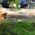 stormschade-auto-boom-brandweer