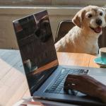thuiswerken-laptop-hond