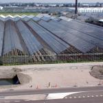 Minder biologische bestrijding in glasgroenteteelt
