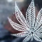 wiet-symbool-hennep-cannabis