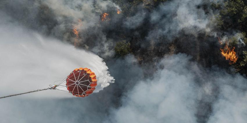 Blussen met bambi bucket