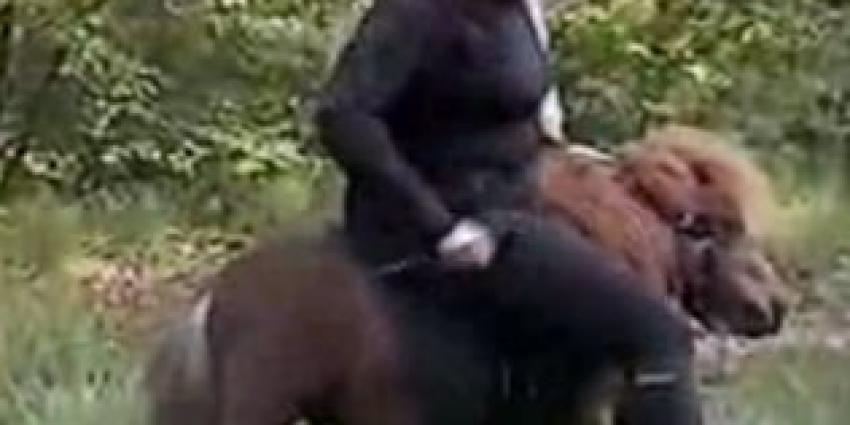 Foto van vrouw op shetland pony