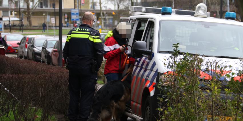 Hedershond 'aangehouden' na bijtincident