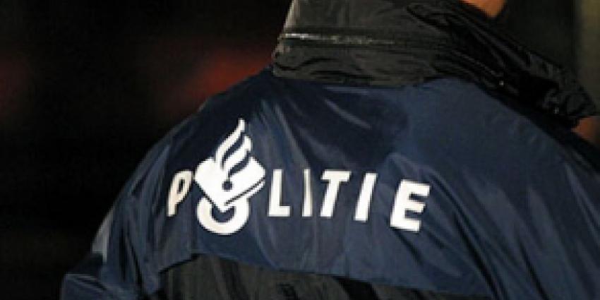 Pubers rijden auto moeder het water in