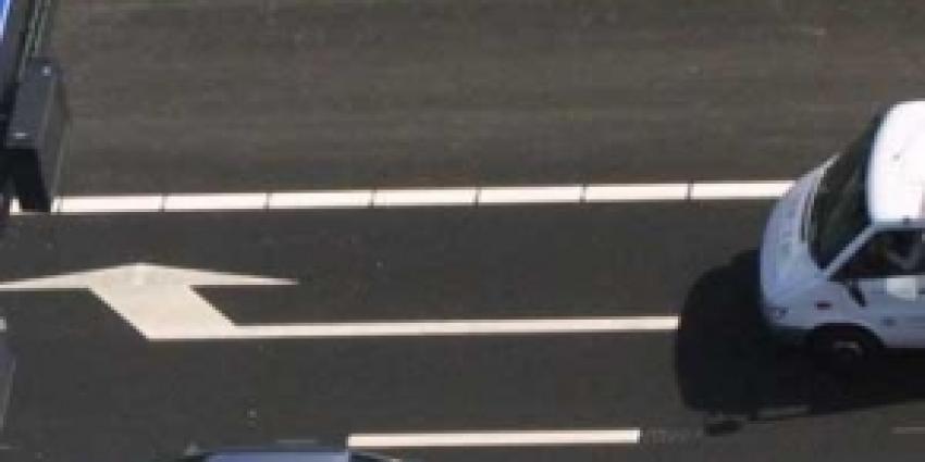 In Nederland unieke otter overreden op A12 Gouda