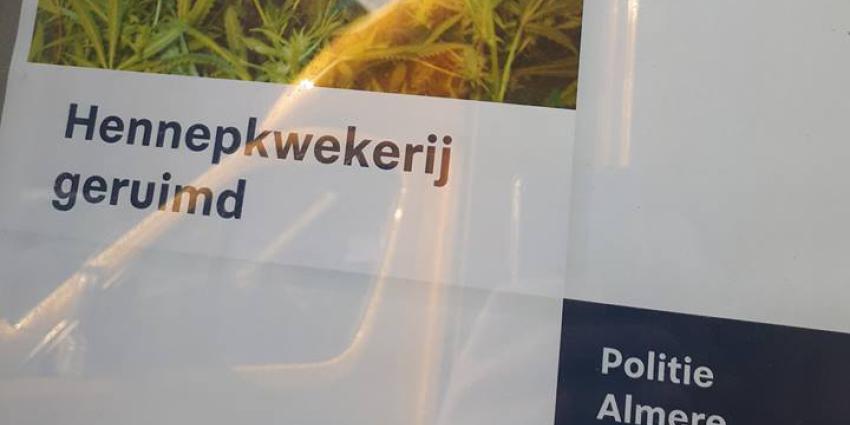 Hennepplantage geruimd in Almere