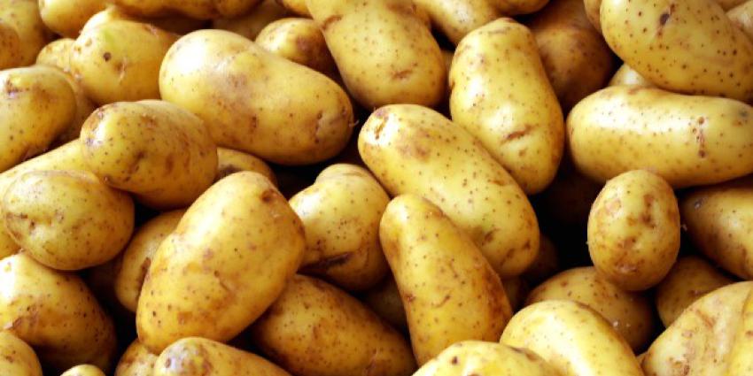 Foto van aardappelen | MV