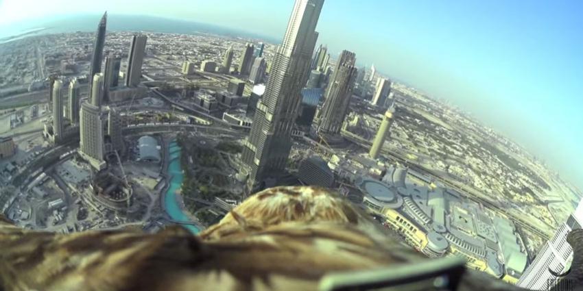 Kijk mee vanaf de rug van een adelaar tijdens een duikvlucht boven Dubai