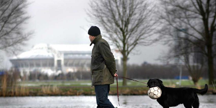 arena-Ajax-hond-voetbal