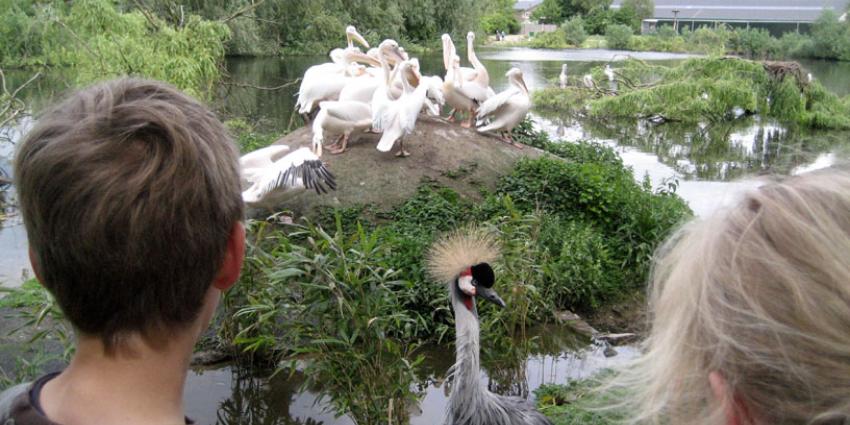 Vogelpark Avifauna in Alphen aan den Rijn is toch weer open. 