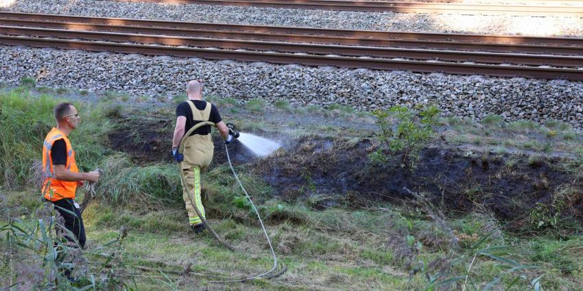 bermbrand-spoor