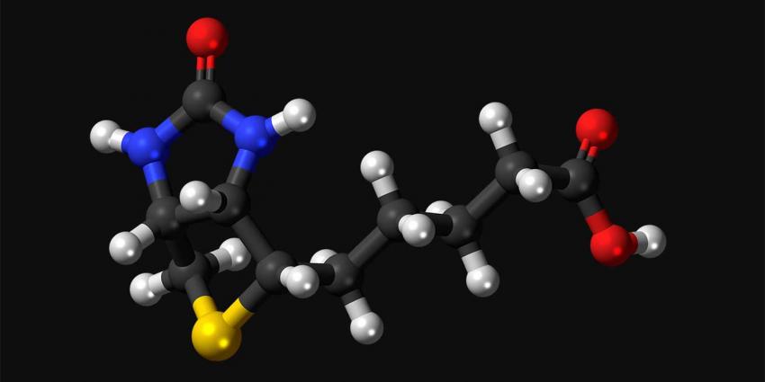 Het nut van biotine / vitamine b8