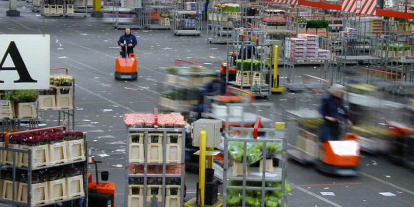 Foto van bloemenveiling FloraHolland Aalsmeer | Archief EHF