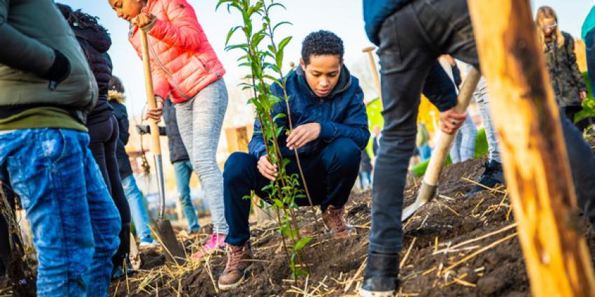Inschrijving voor Tiny Forest weer geopend!