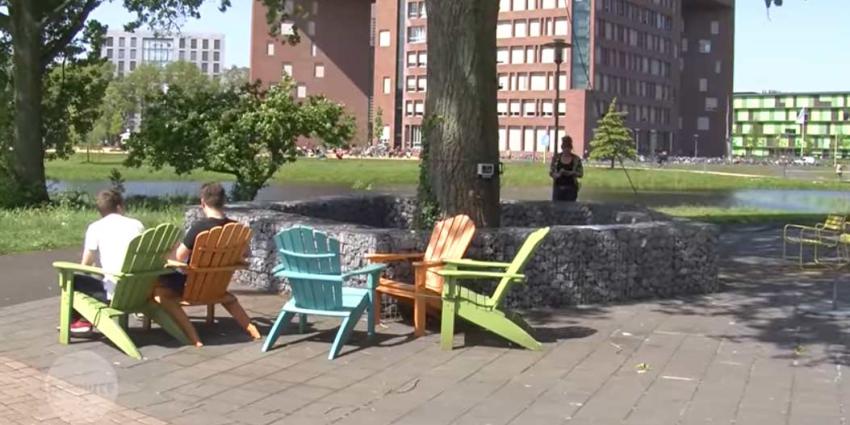 'Nederland heeft een boom die spreekt'