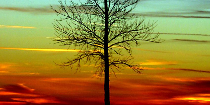 Nederlands echtpaar vermoord op teakplantage in Costa Rica