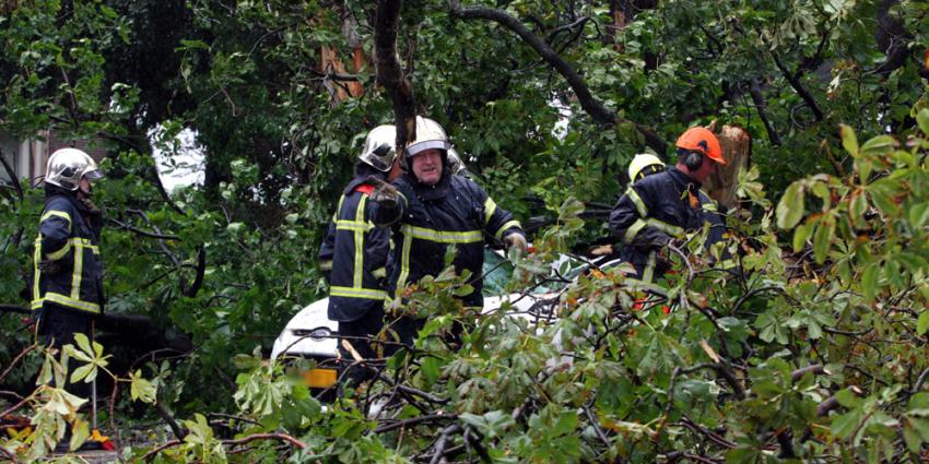 Foto van omgewaaide boom brandweer | Archief EHF