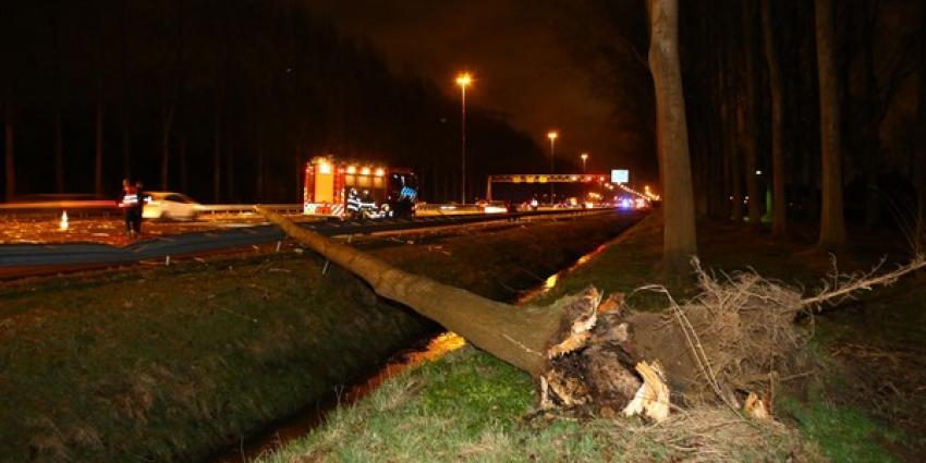 Snelweg A2 tussen Liempde en Best dicht na omgewaaide boom