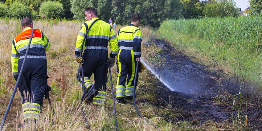 In veel delen van Nederland geldt door droogte hoogste alarmfase 2, meer kans op natuurbranden