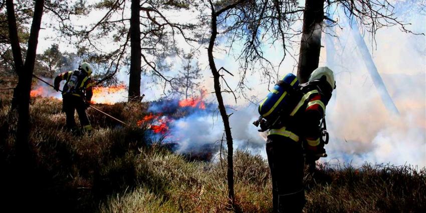 Grote natuurbrand op heide bij Gasselte