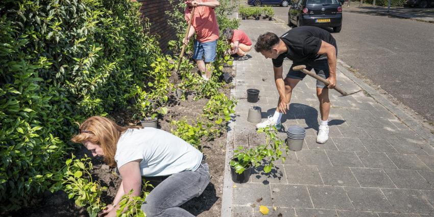 Buren onderhouden groen