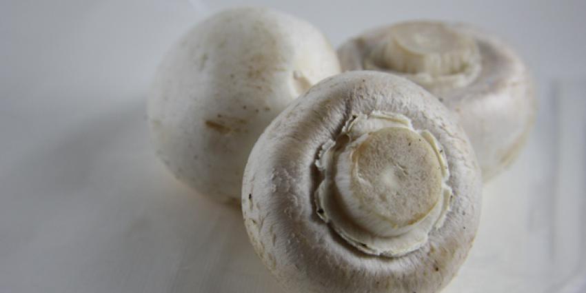 Inspectie SZW legt beslag op woning in Gelderland