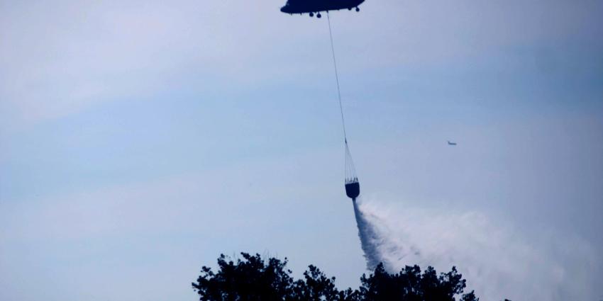 chinook-heli-blus-bos